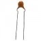 Capacitor Cerâmico 100V Capacitor Cerâmico 100V