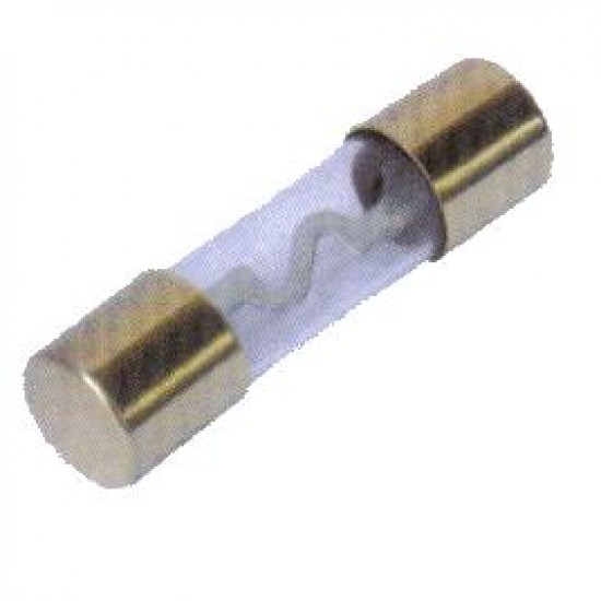 Fusível AGU-G ZH229N 10x38mm 100A Prateado Fusível AGU-G ZH229N 10x38mm 100A Prateado